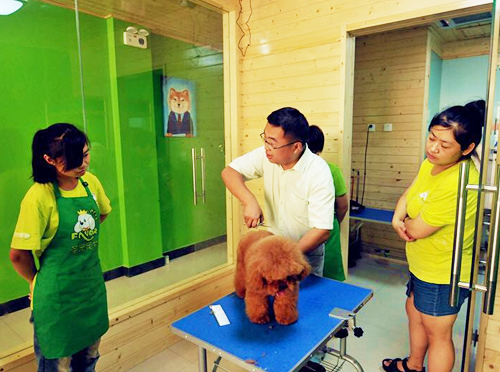 廣州寵物店加盟指南 精選可靠的寵物服務品牌