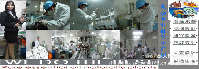 其它未分類_上海象揚納米科技